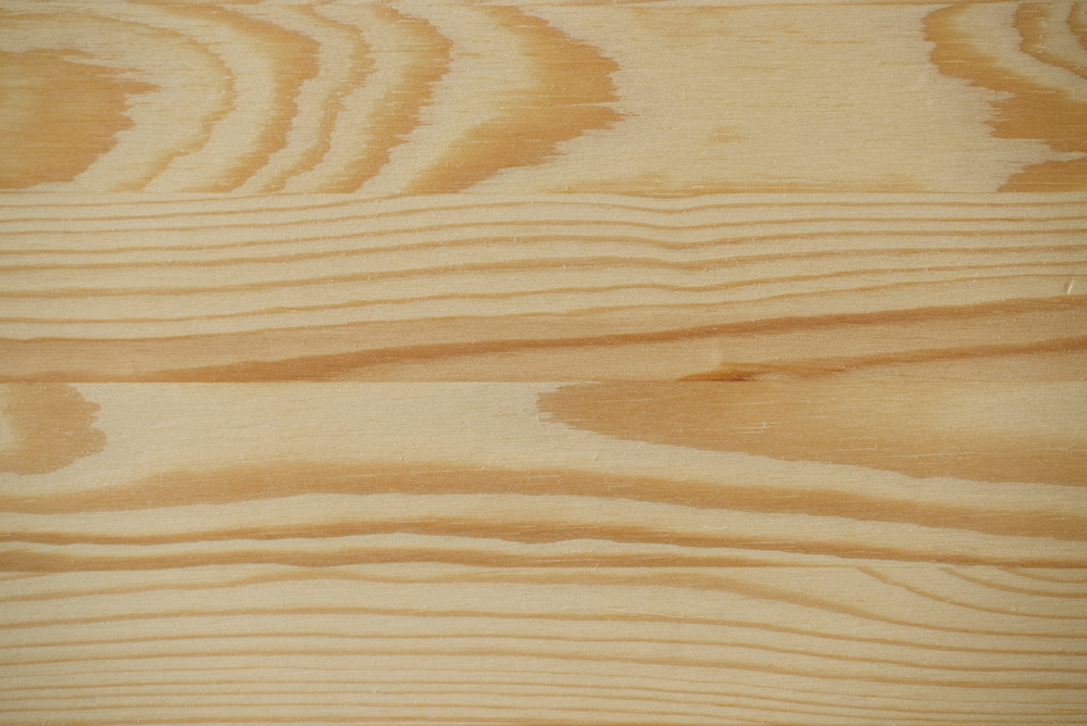 Pine wood background